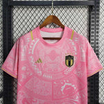 Maillot Italie 2024 Édition Spéciale Rose