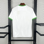 Maillot Irlande Concept 2026