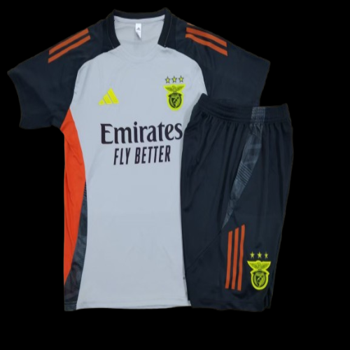 Ensemble Benfica