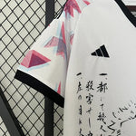 MAILLOT JAPON CONCEPT ZORO ONE PIECE 2023/24