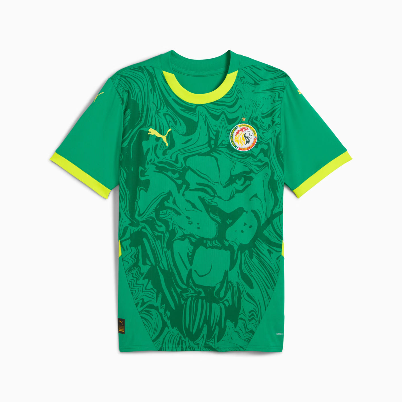 Maillot Extérieur Sénégal 2024-2025