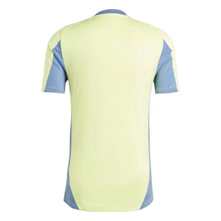 Maillot Ajax 2024/2025